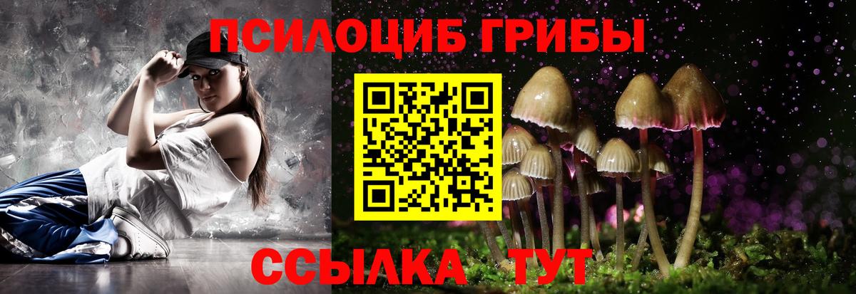 Псилоцибиновые грибы Psilocybe Ржев