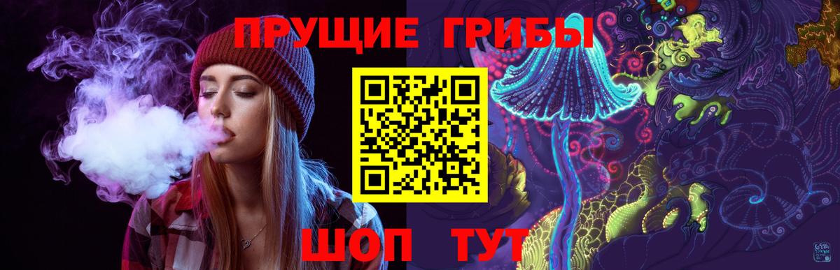 Ржев  Псилоцибиновые грибы мухоморы  Вход с VPN 